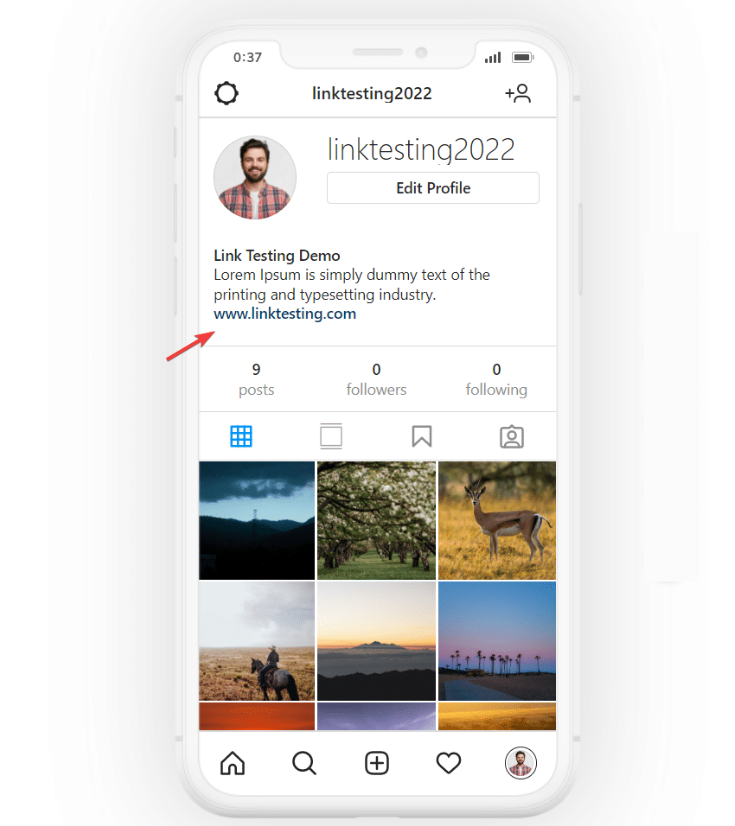 Link in Instagram Bio