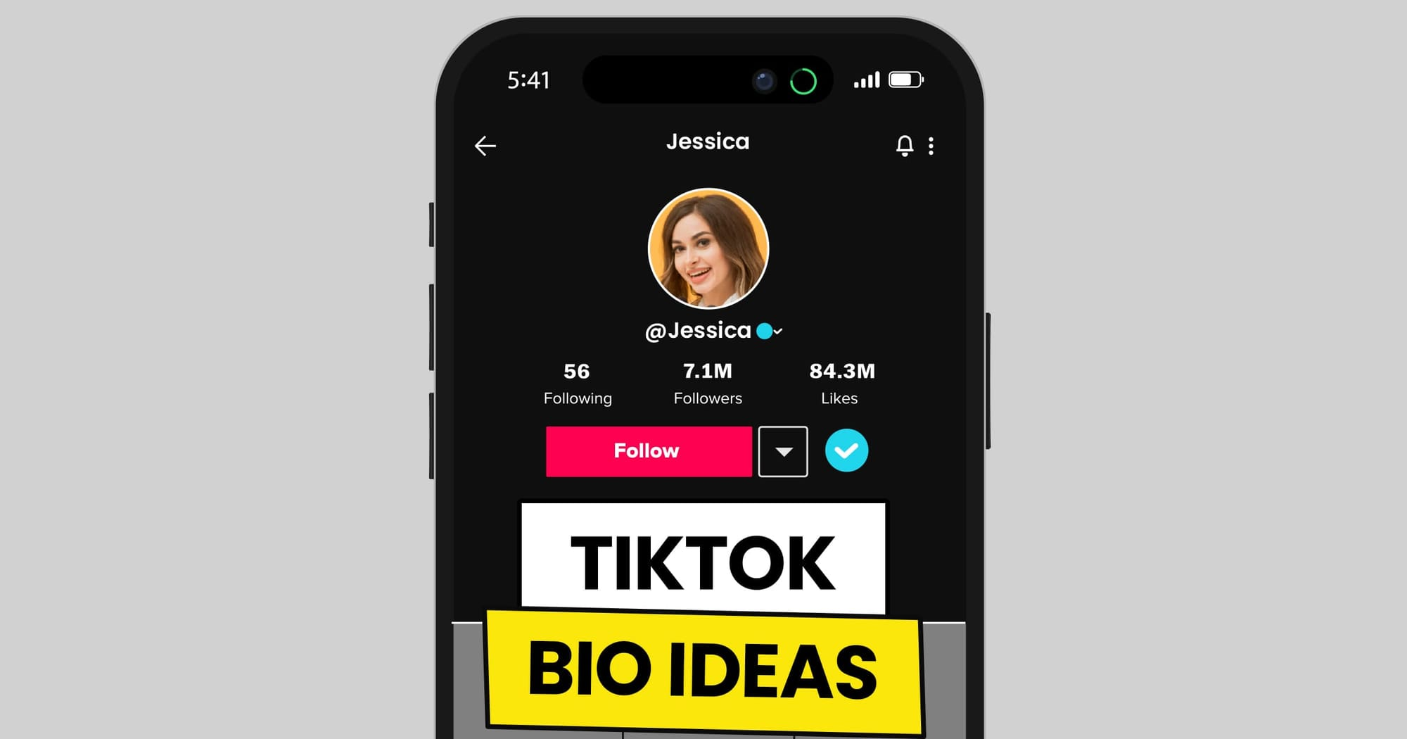 TikTok Bio